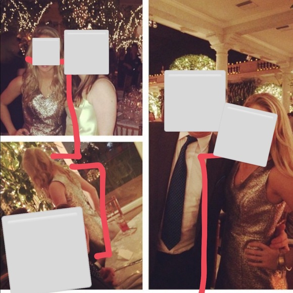 Sachin & Babi Allure Metallic cocktail dress - Picture 9 of 9